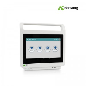 mobile health monitor with handgrip for integrated diagnostic telemedicine e-health e-Clinic